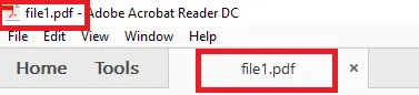 File name in Adobe