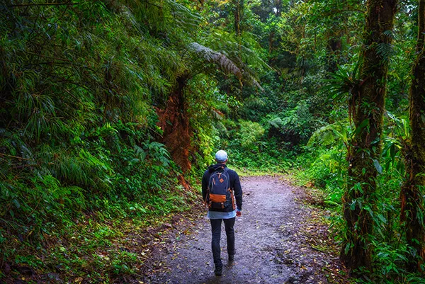 person standing walking down a path