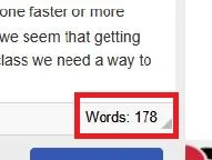 Word Count Feature