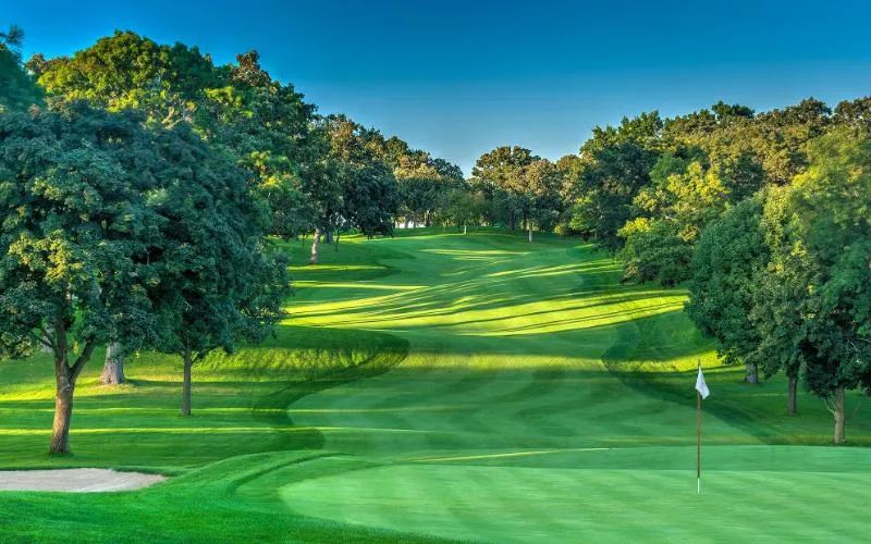 24th Annual Elgin Community College Foundation Golf Classic