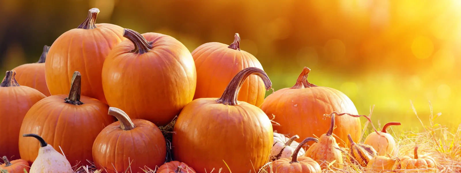 Calabazas