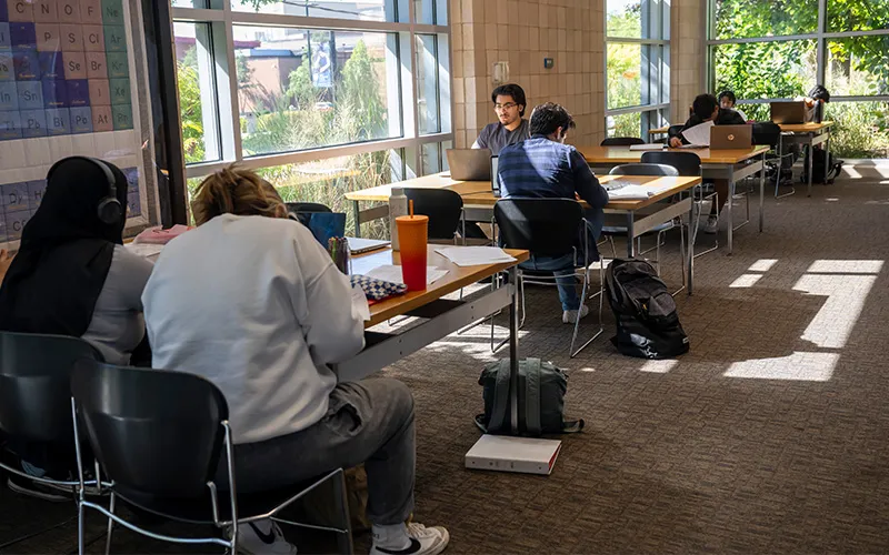 Estudiantes sentados en mesas estudiando