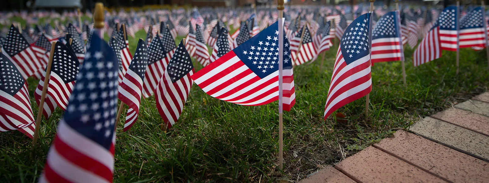 a bunch of American flags spread throughout some grass