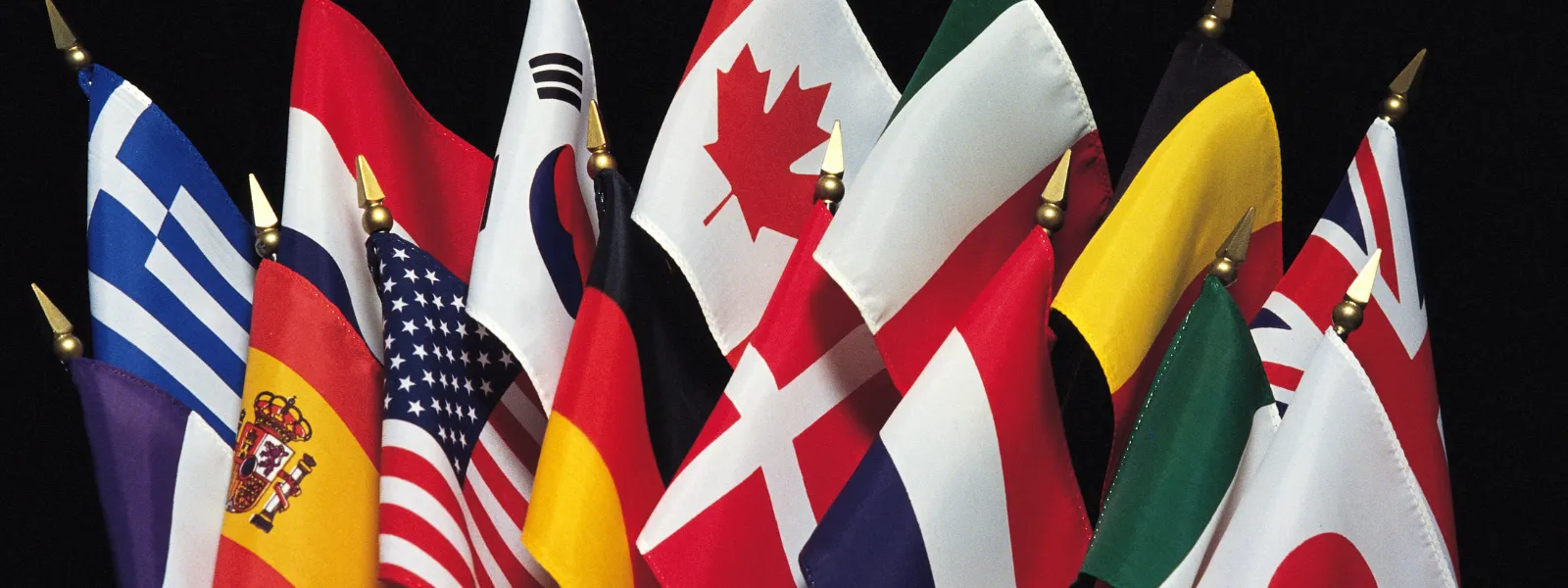 International flags lined up with a sky background