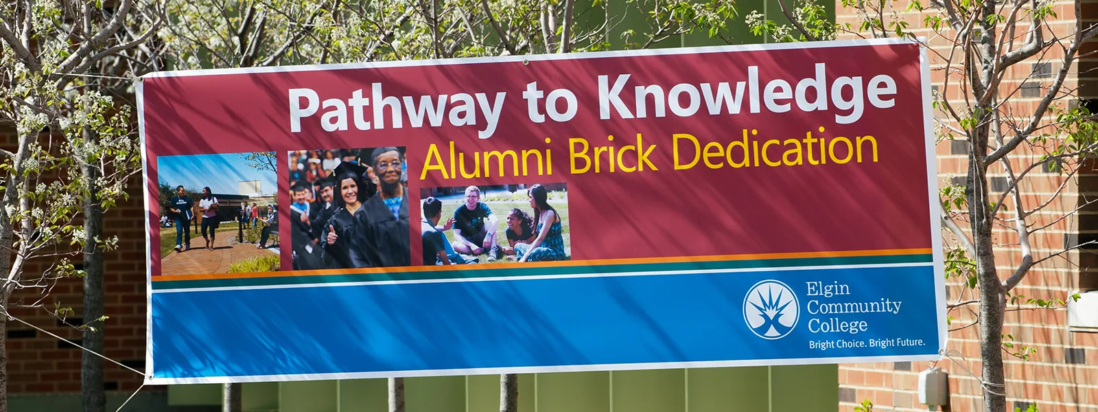 Pathway to Knowledge banner