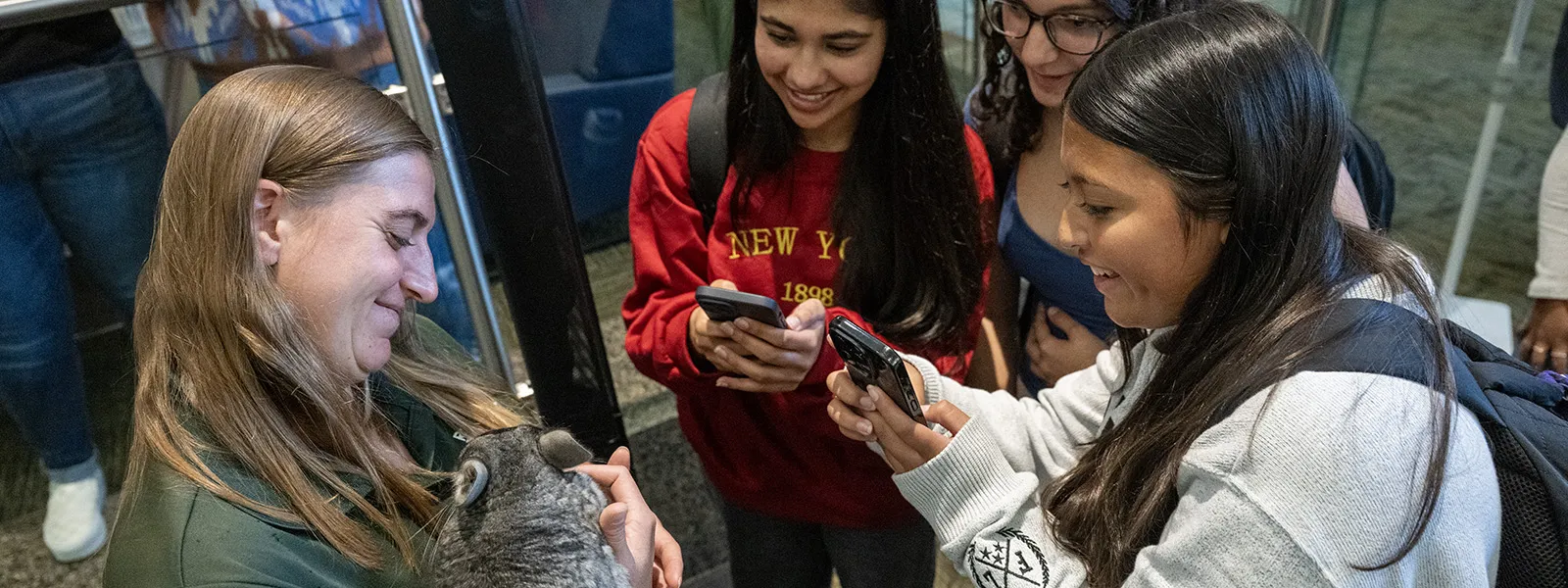 Students enjoy a petting zoo on campus.