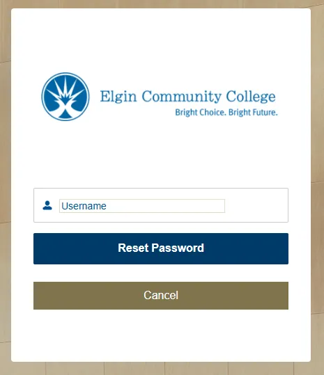 Reset Password